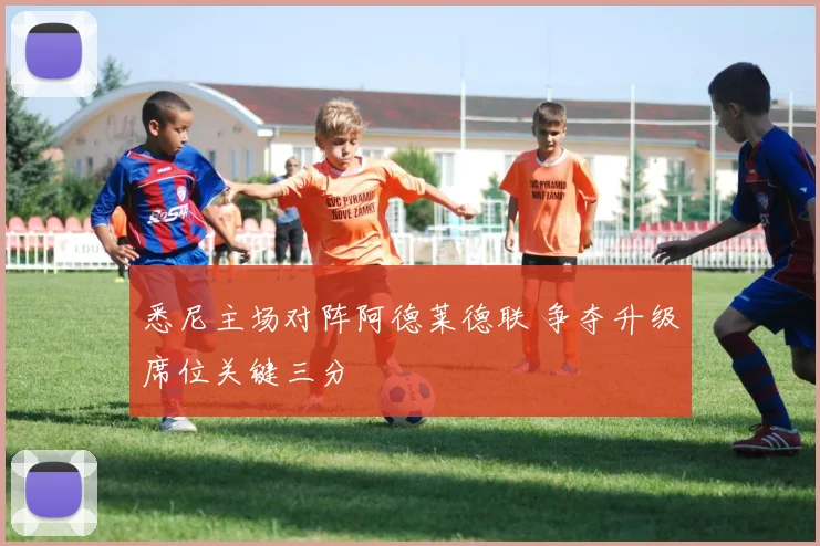 悉尼主场对阵阿德莱德联 争夺升级席位关键三分